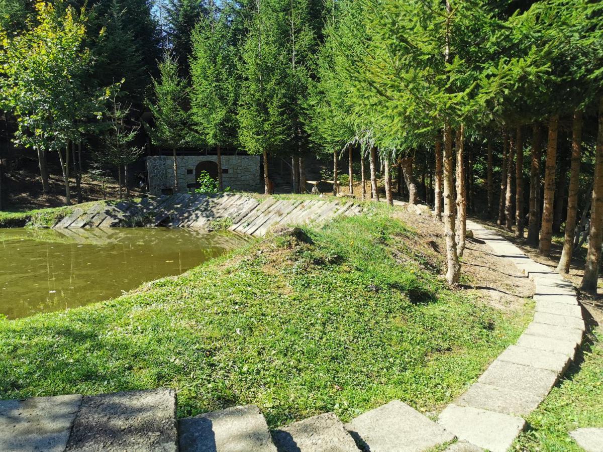 Pensiunea Ionela Zemes Exterior photo