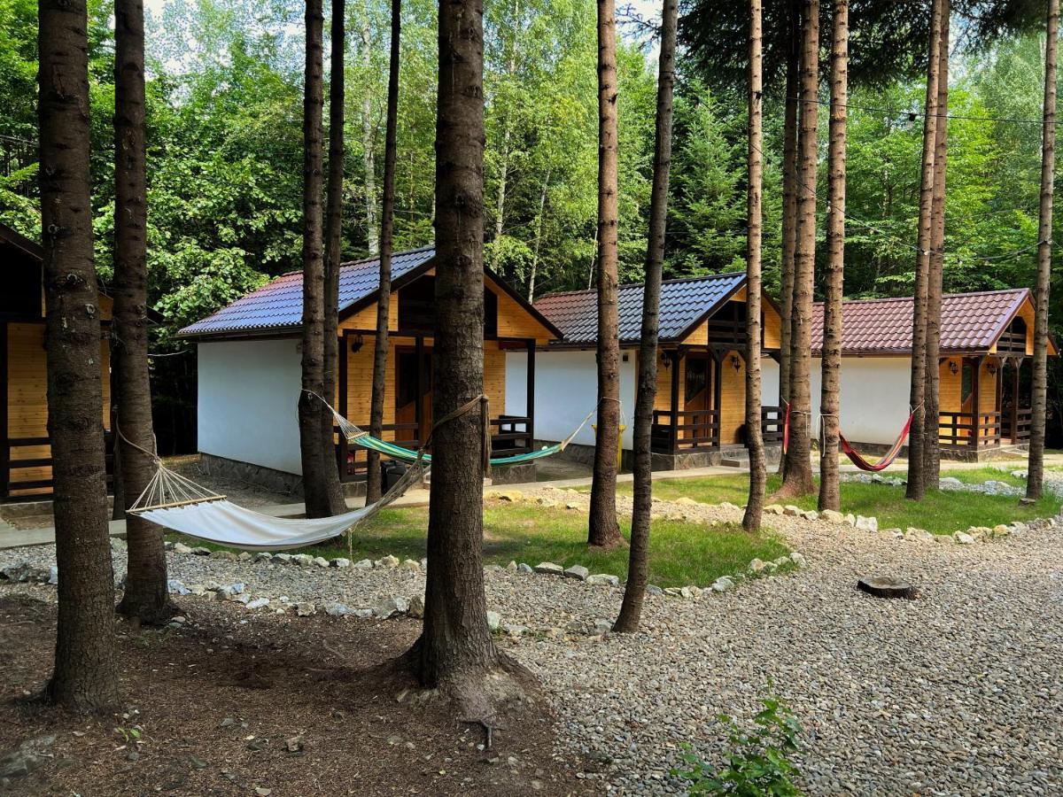 Pensiunea Ionela Zemes Exterior photo