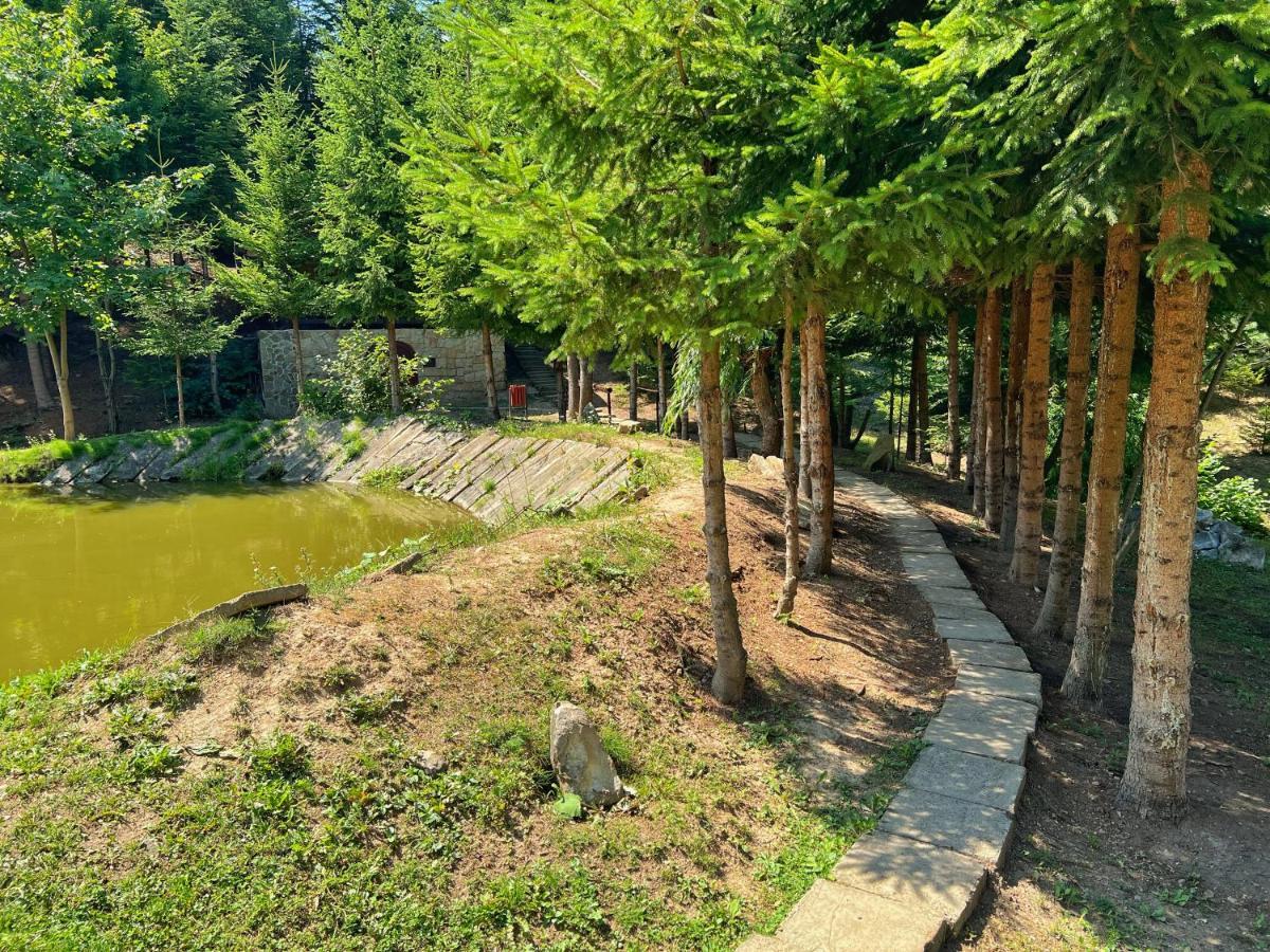 Pensiunea Ionela Zemes Exterior photo